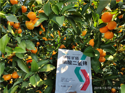 水溶肥，磷酸二氫鉀