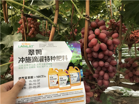 沖施肥，拉姆拉