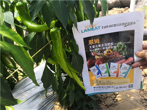 水溶肥，拉姆拉