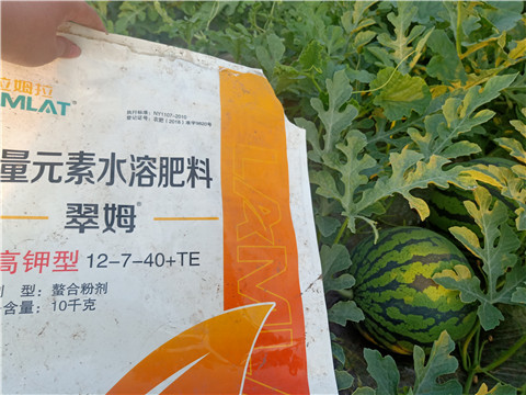 水溶肥，拉姆拉，翠姆