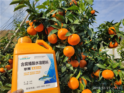 水溶肥，拉姆拉，翠姆