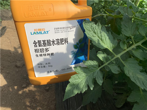 水溶肥，拉姆拉，翠姆
